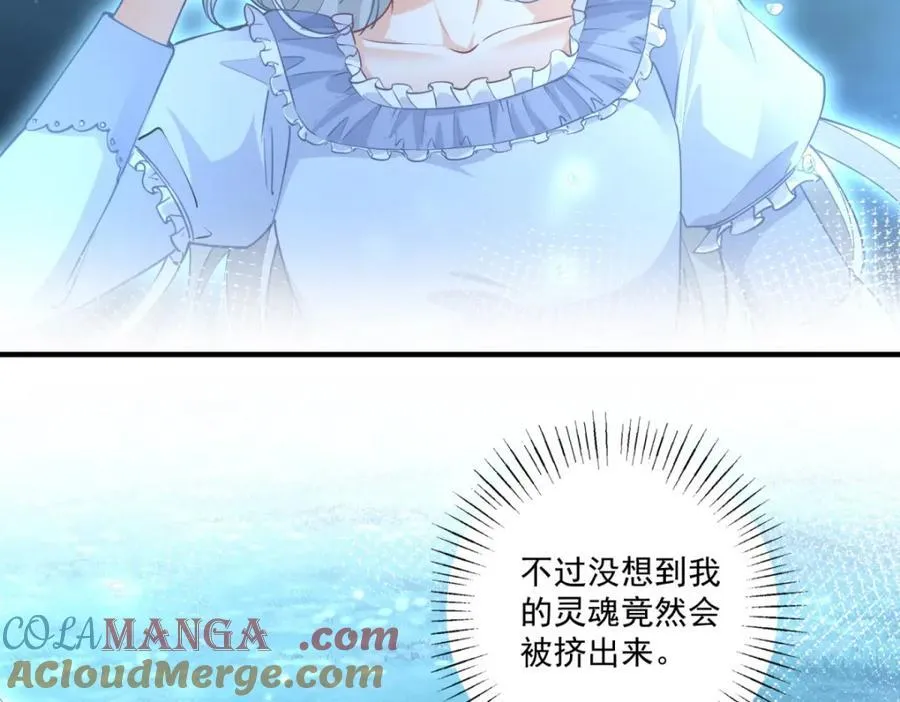第215话 贝贝的灵魂渐渐远去 第52页