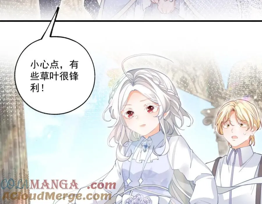 第220话 没有神殿没有祭品 第25页