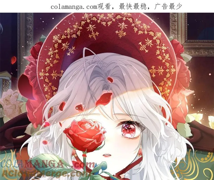 第244话 你不在书中 第1页