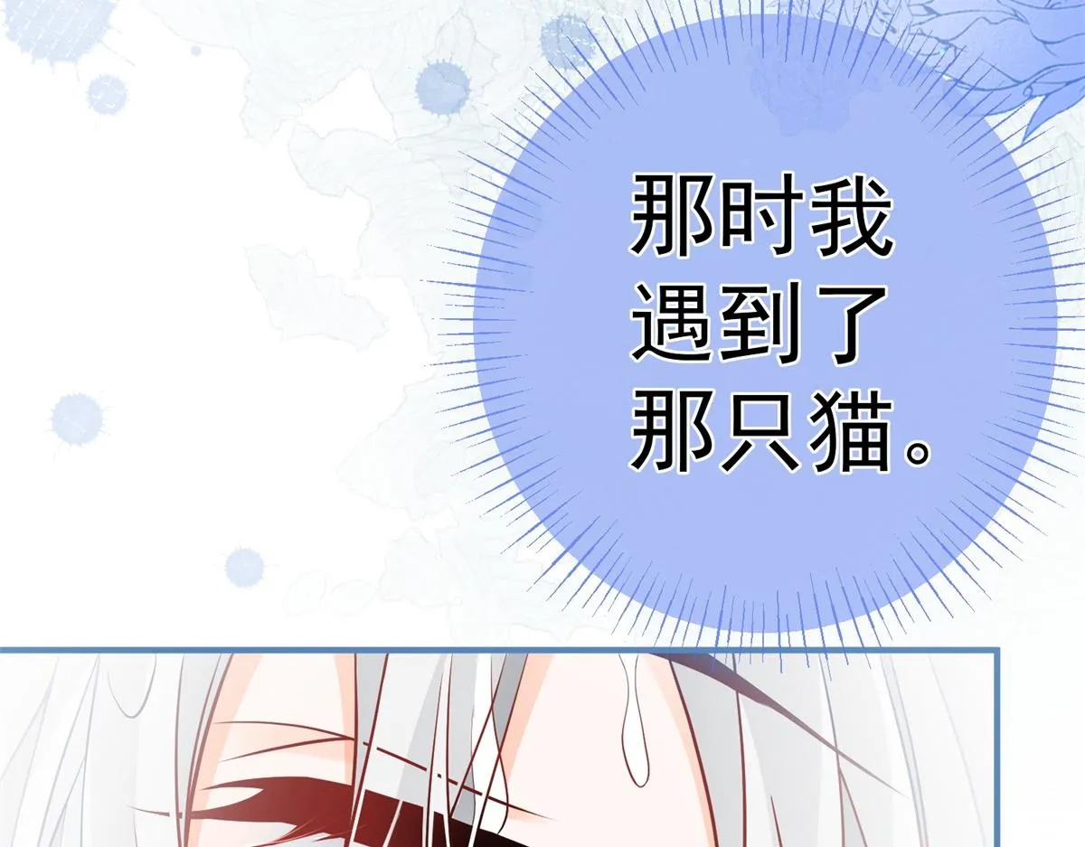 第6话 化猫为书 第30页