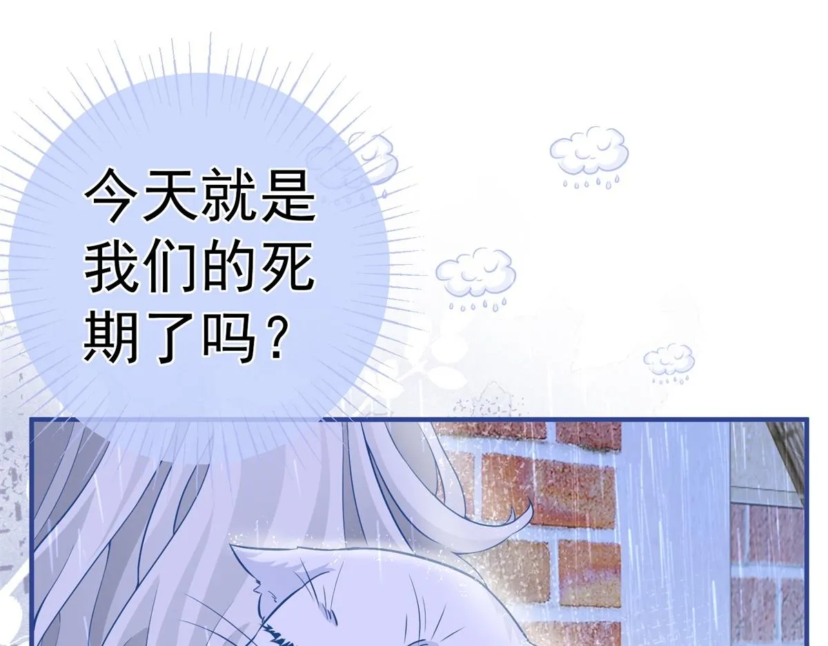 第6话 化猫为书 第32页