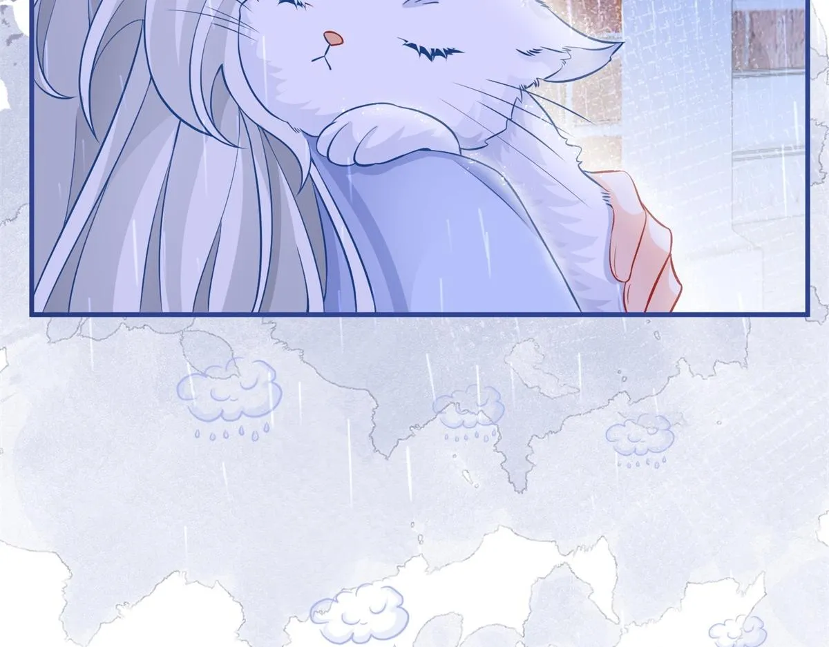 第6话 化猫为书 第33页