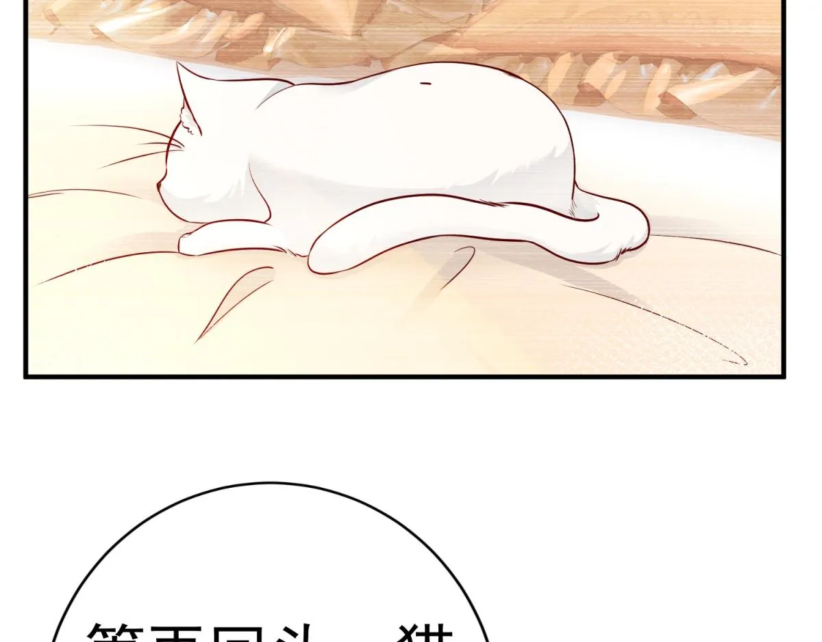 第6话 化猫为书 第74页