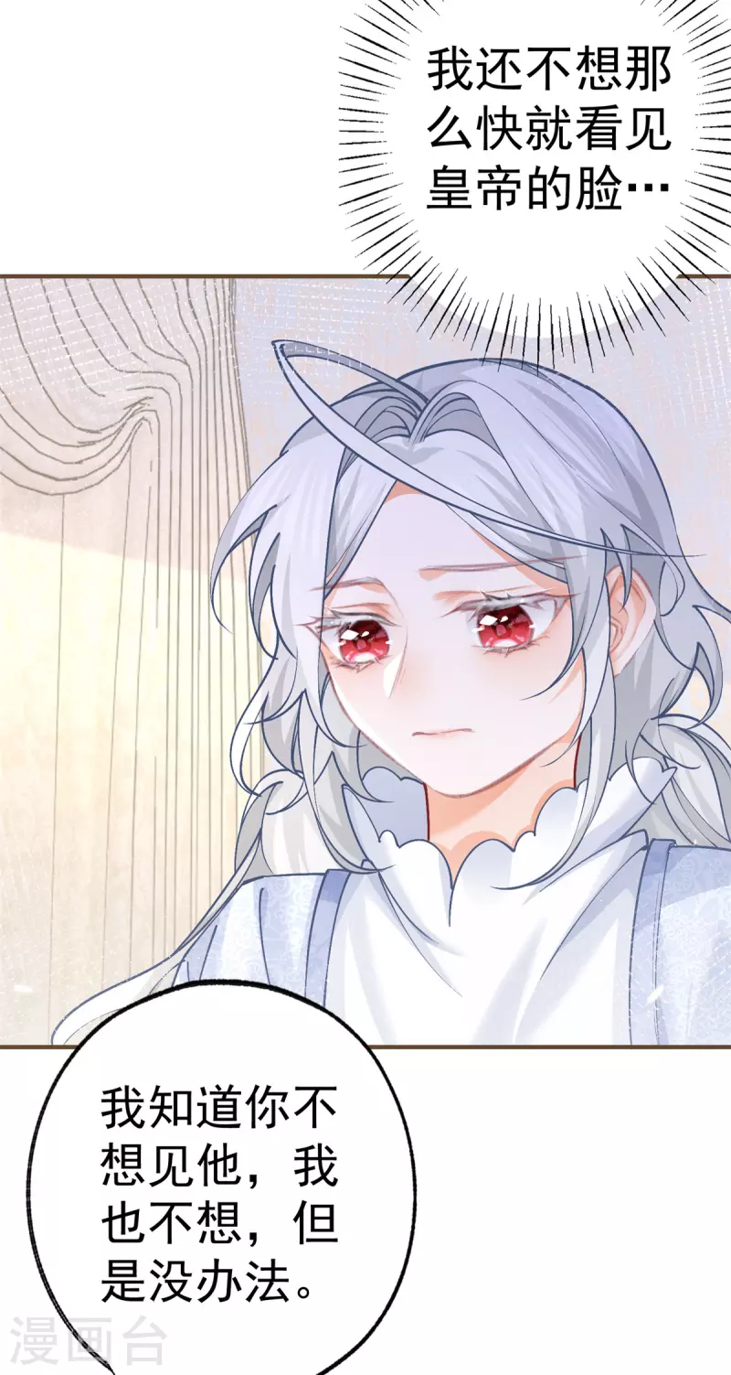 第48话 熊宝耳朵痛痛！ 第3页