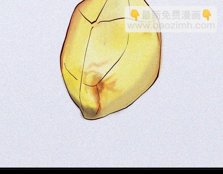 第55话 虫珀收藏家 第2页