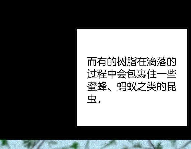第55话 虫珀收藏家 第3页