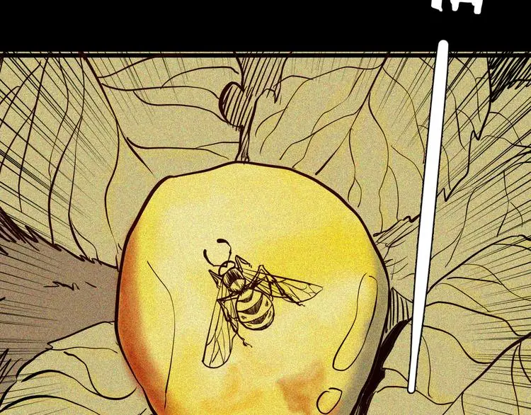 第55话 虫珀收藏家 第6页