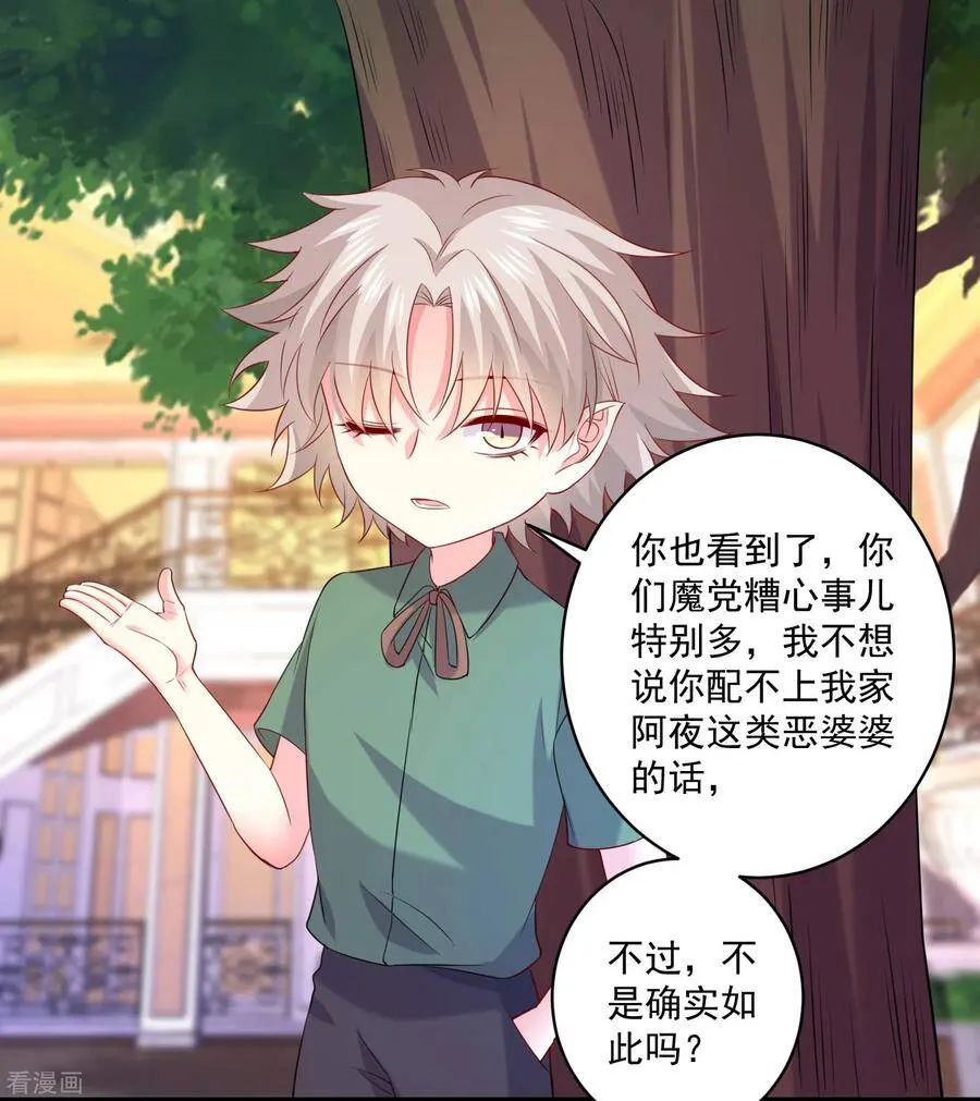 第240话 给猫白夜洗澡~ 第3页