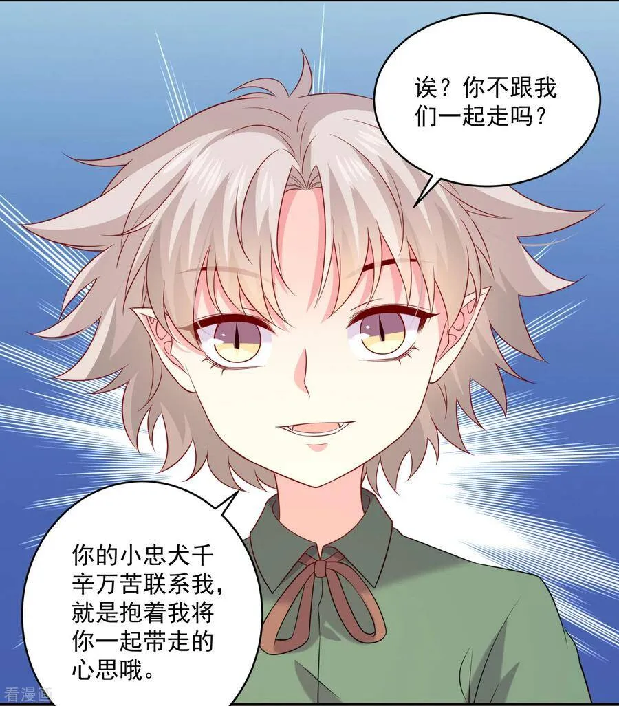 第240话 给猫白夜洗澡~ 第8页