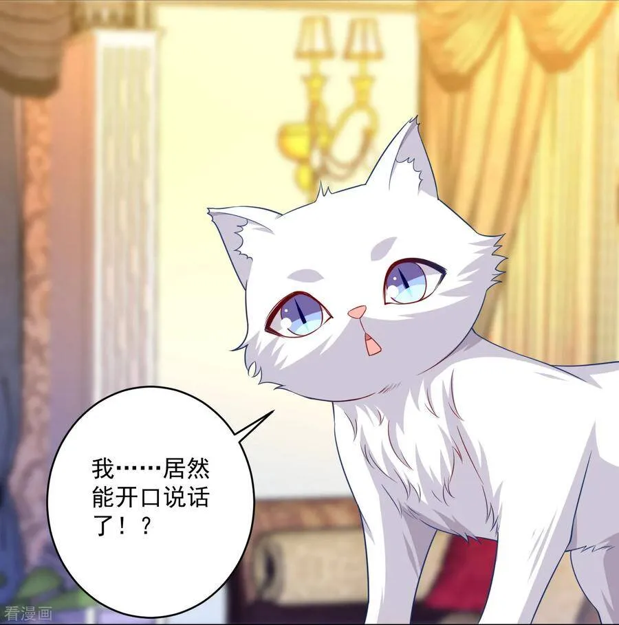 第240话 给猫白夜洗澡~ 第14页