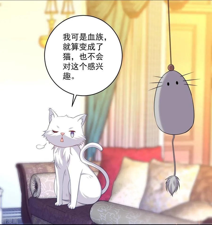 第240话 给猫白夜洗澡~ 第17页