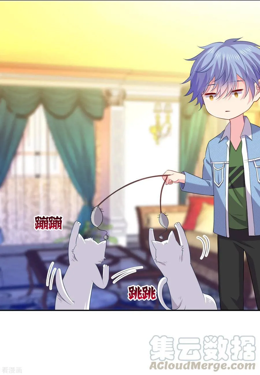 第240话 给猫白夜洗澡~ 第19页