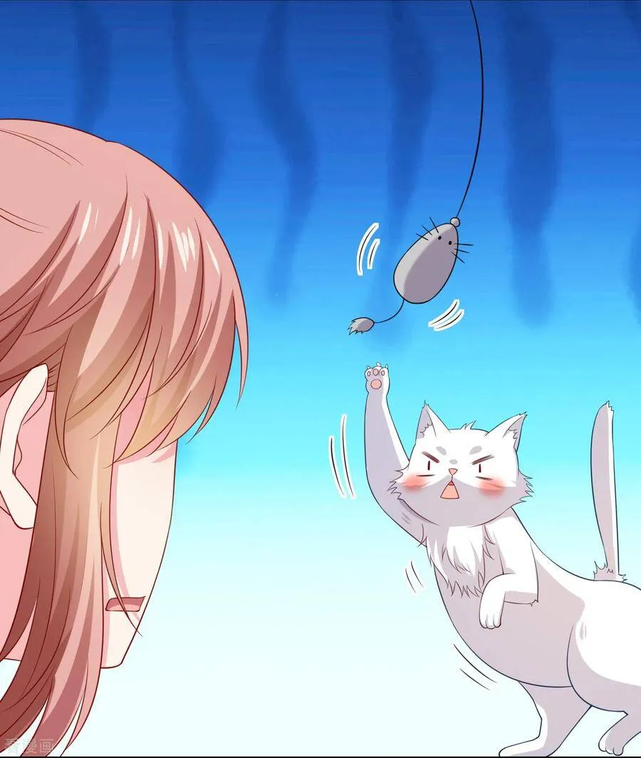 第240话 给猫白夜洗澡~ 第23页