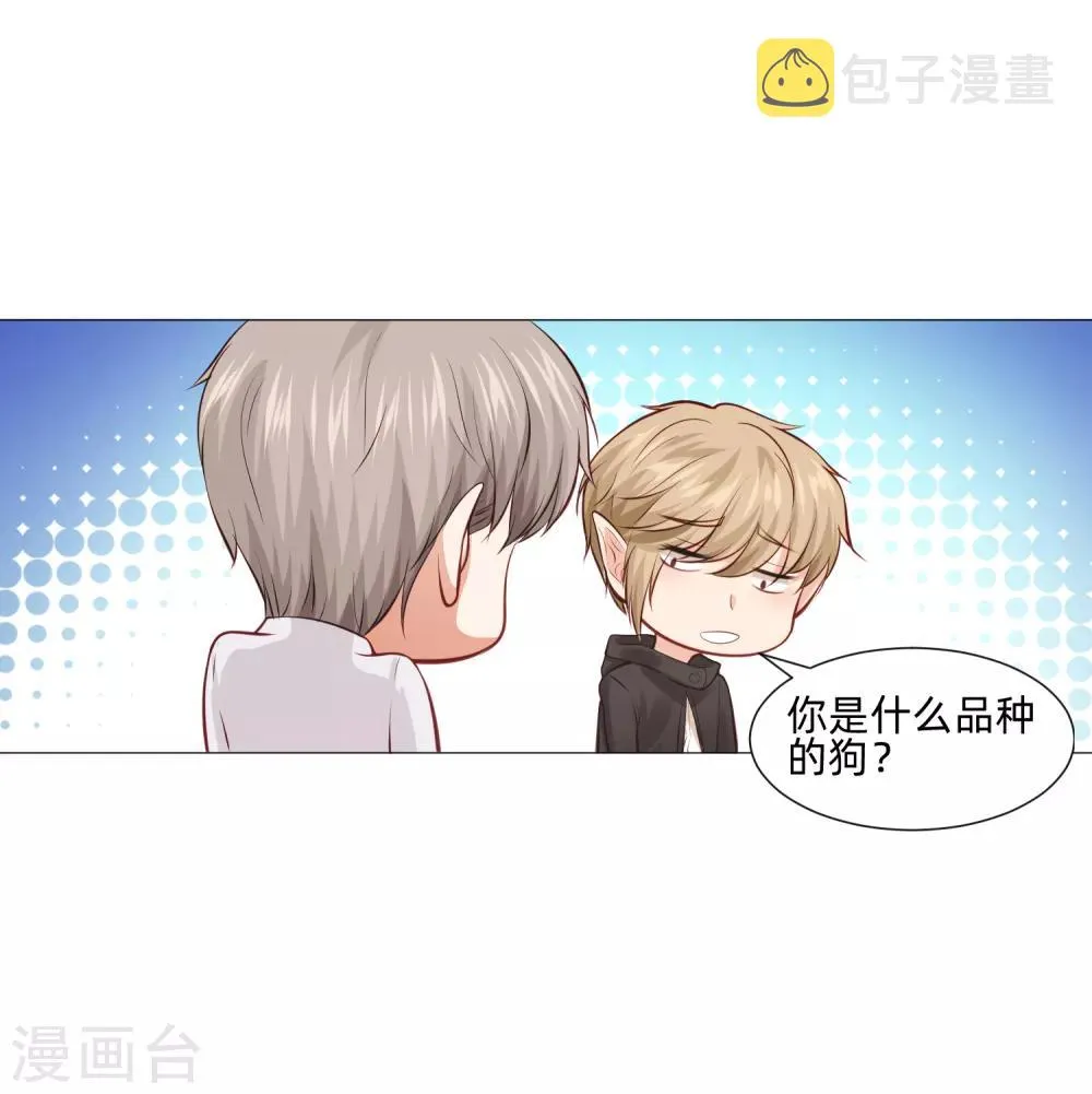 第160话 动我女人只好干掉你 第33页