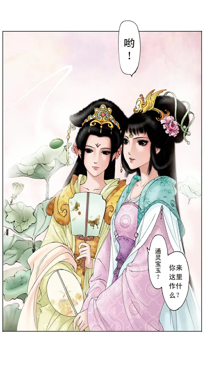 第141话 石头记 第13页
