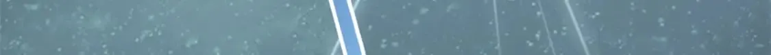 463 第3页