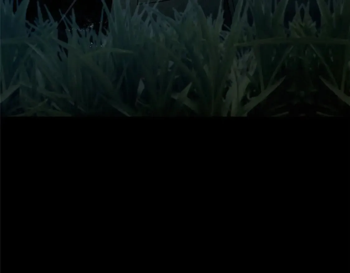 458 第4页
