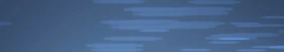 457 第113页
