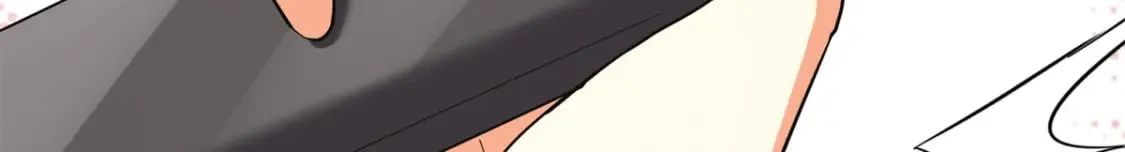 455 第15页