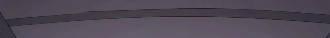 455 第67页