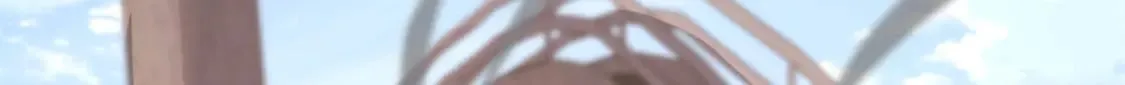 455 第121页