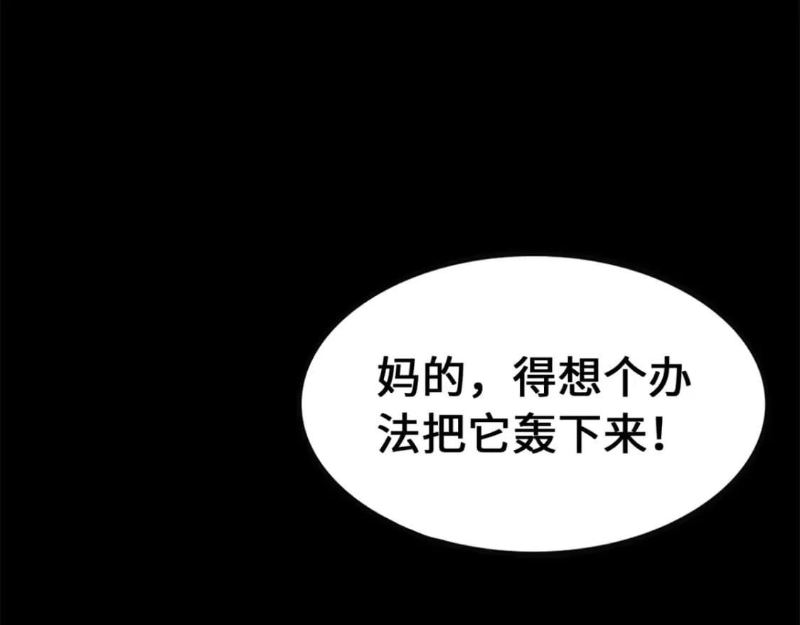 455 第146页