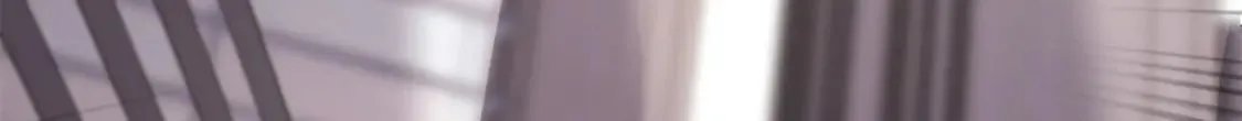 455 第160页