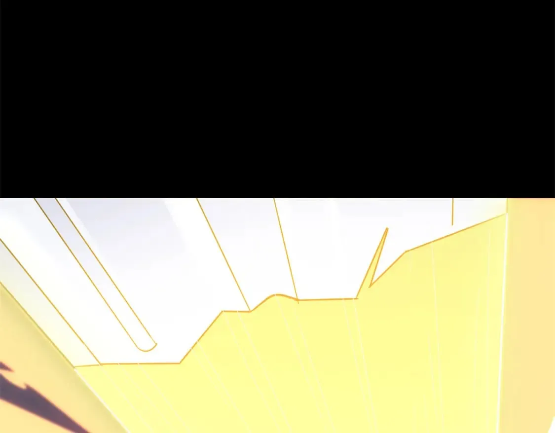 455 第206页