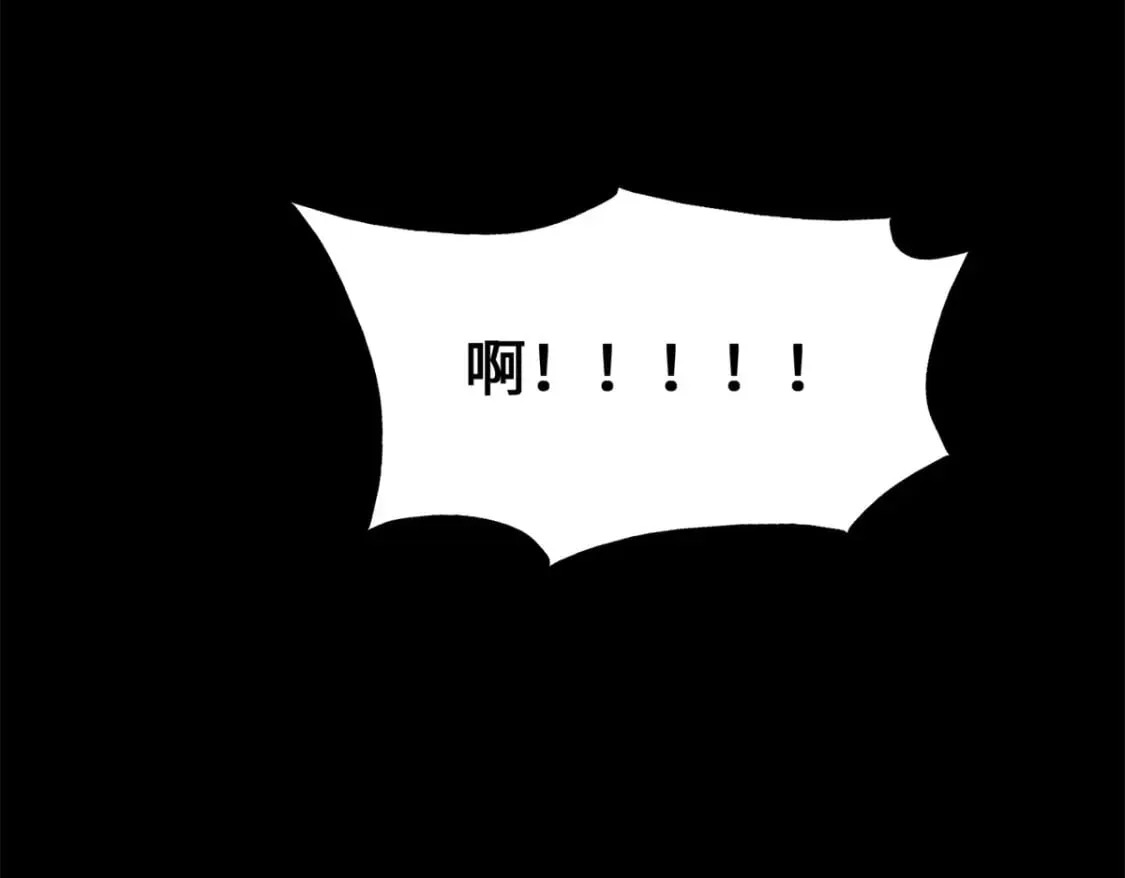 455 第209页