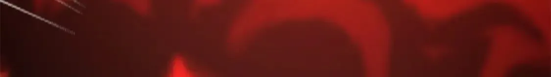 455 第257页