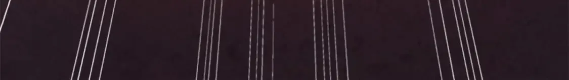 455 第260页