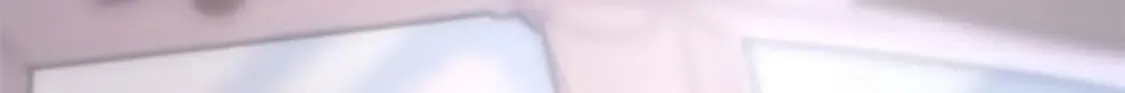 455 第278页