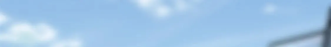 454 第177页