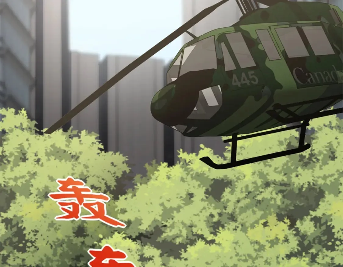 453 第3页