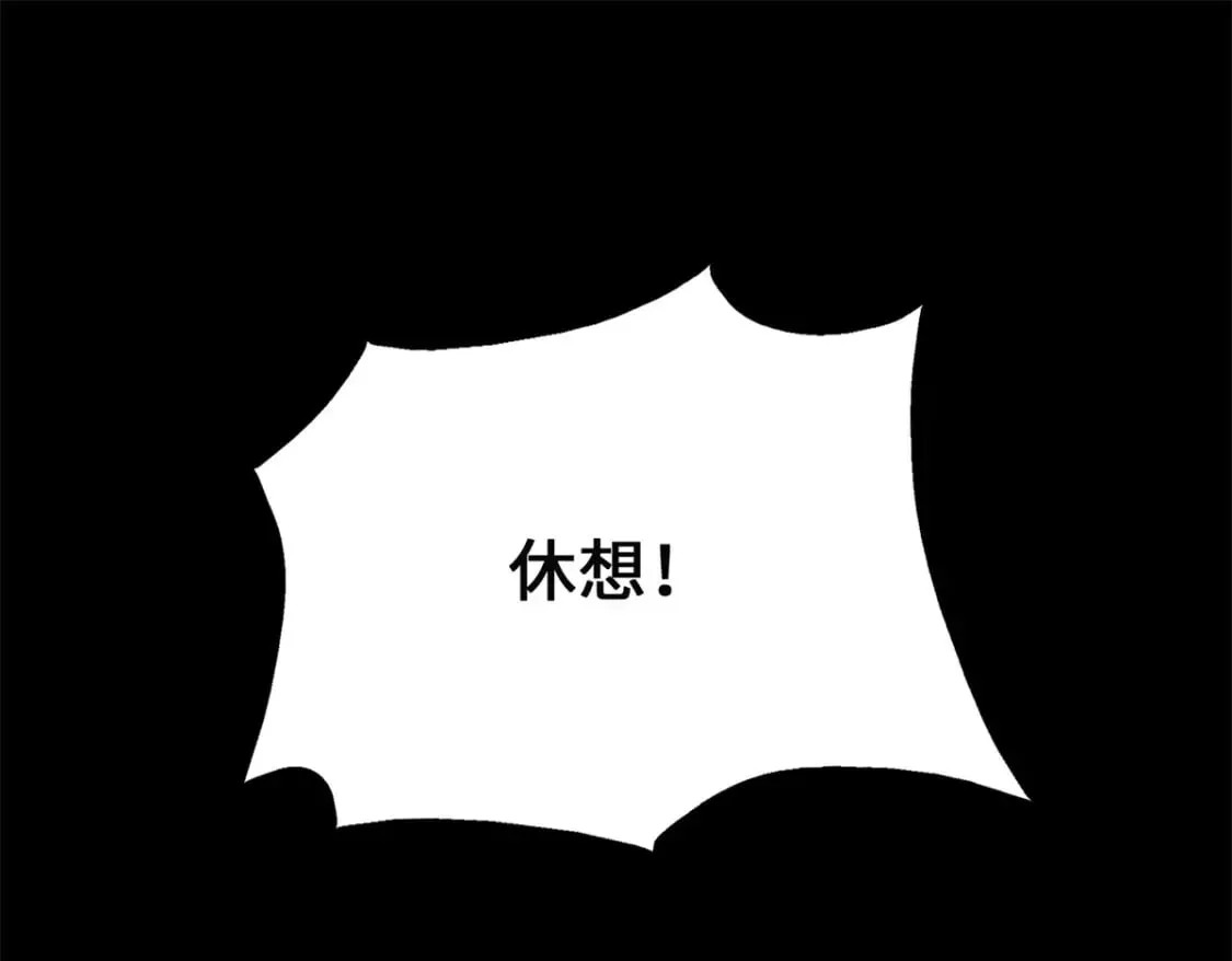 453 第113页