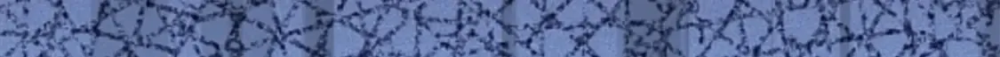 453 第213页