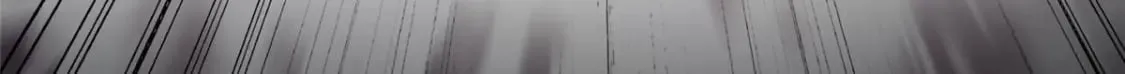 451 第94页