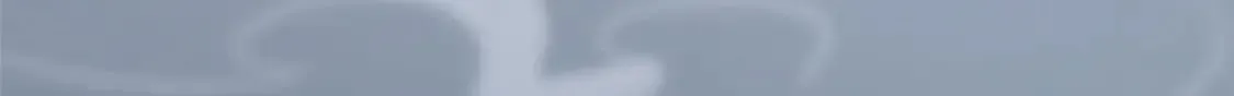 451 第182页