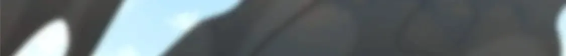 450 第126页