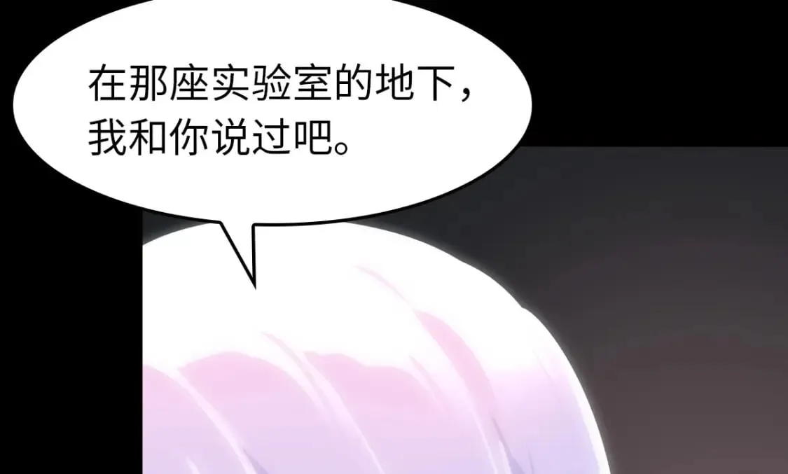 447 第13页