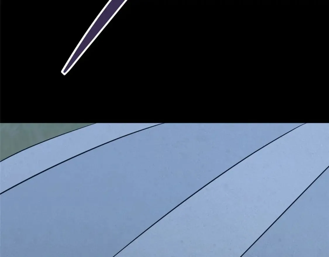 446 第5页