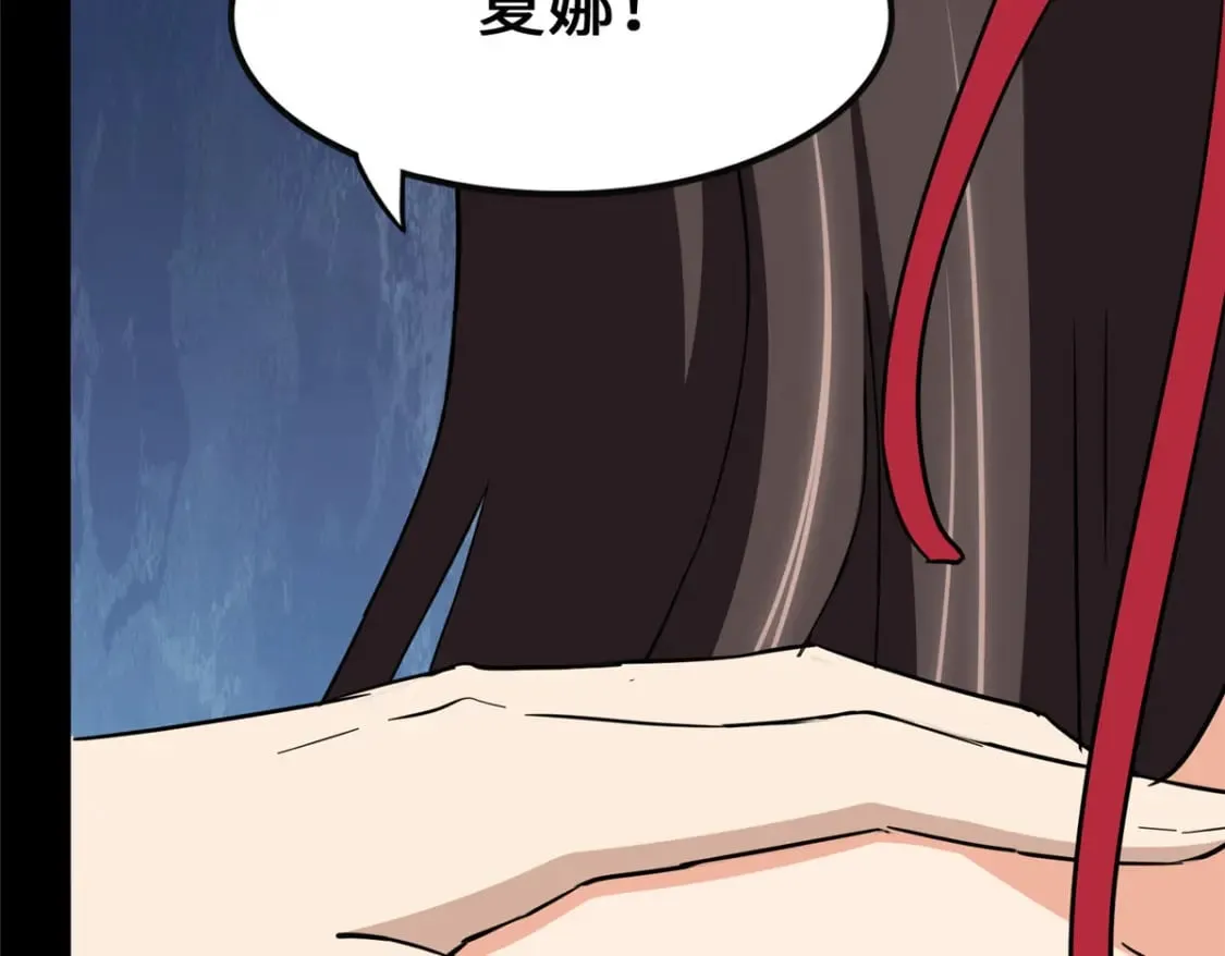 446 第41页