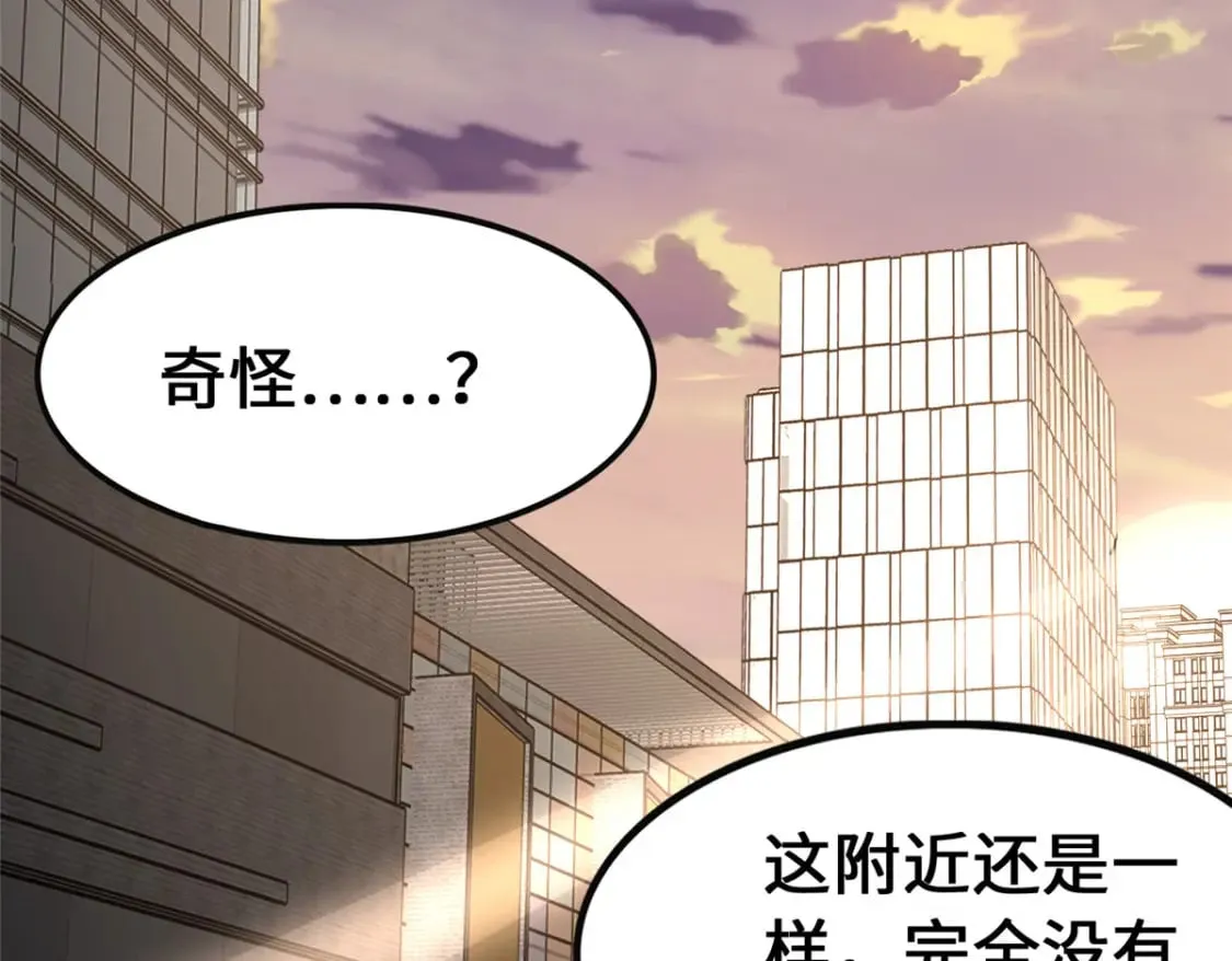 446 第85页