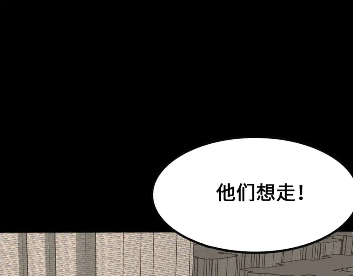 446 第113页