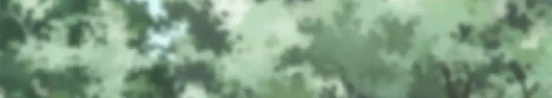 445 第192页