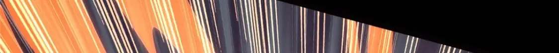 443 第81页