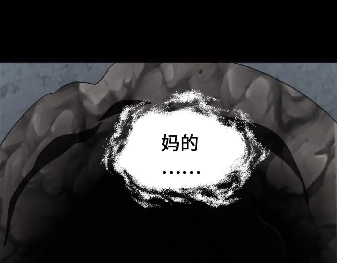 443 第166页