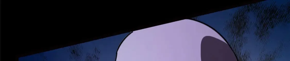 443 第207页