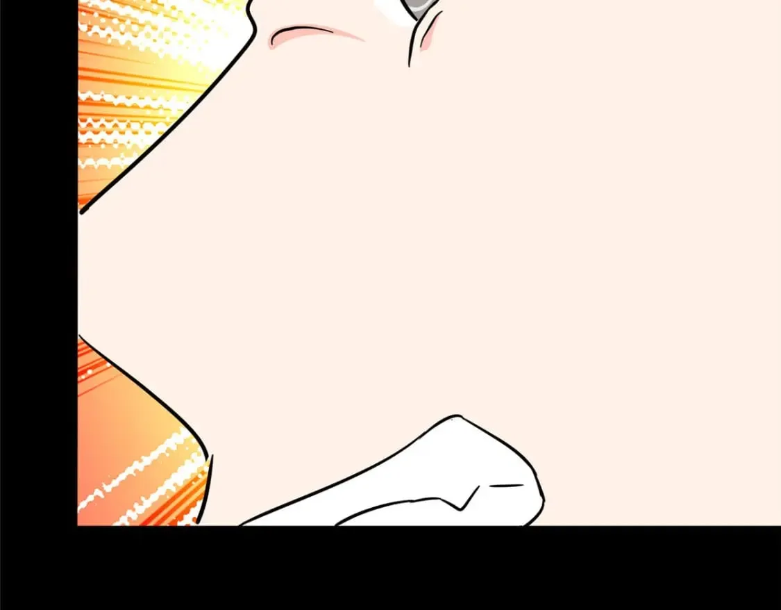 441 第145页