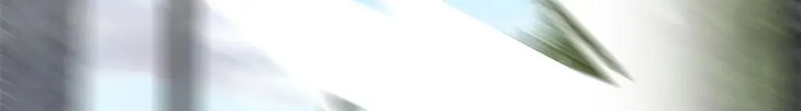 439 第54页